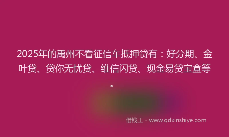 2025年的禹州不看征信车抵押贷有：好分期、金叶贷、贷你无忧贷、维信闪贷、现金易贷宝盒等。