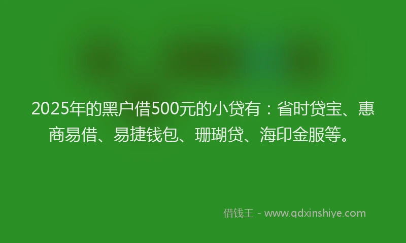 2025年的黑户借500元的小贷有：省时贷宝、惠商易借、易捷钱包、珊瑚贷、海印金服等。