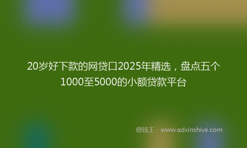 20岁好下款的网贷口2025年精选，盘点五个1000至5000的小额贷款平台