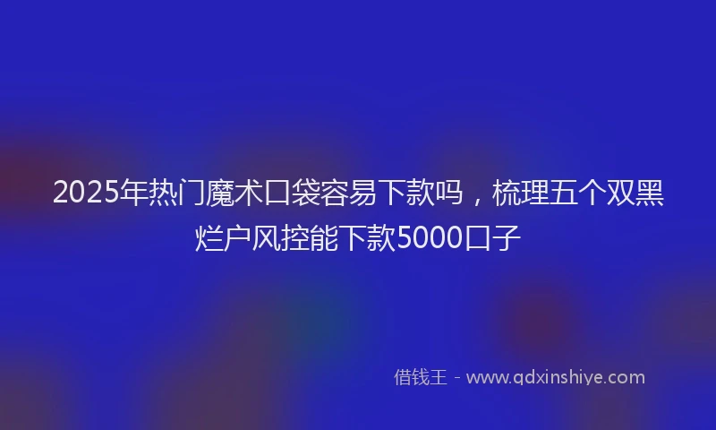 2025年热门魔术口袋容易下款吗，梳理五个双黑烂户风控能下款5000口子