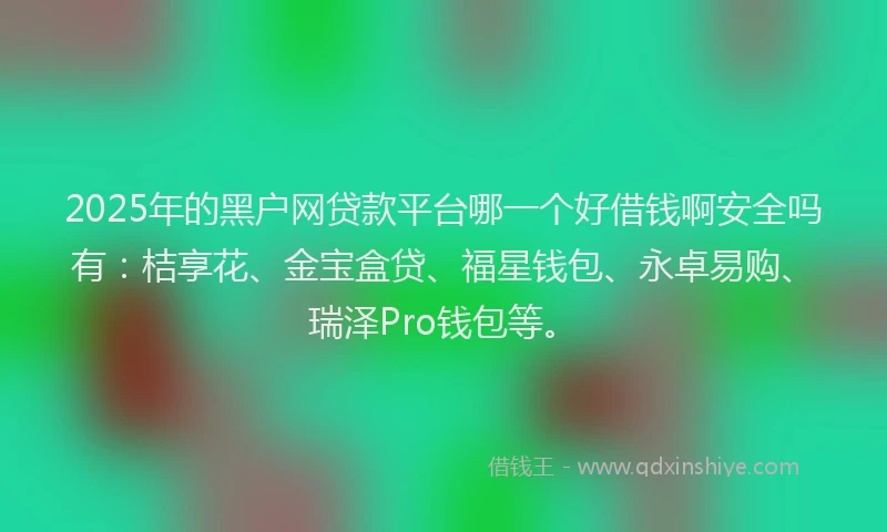 2025年的黑户网贷款平台哪一个好借钱啊安全吗有：桔享花、金宝盒贷、福星钱包、永卓易购、瑞泽Pro钱包等。
