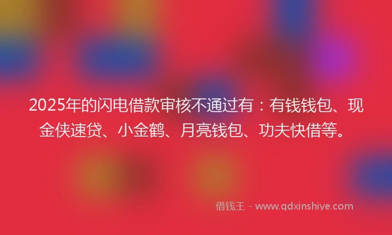 2025年的闪电借款审核不通过有：有钱钱包、现金侠速贷、小金鹤、月亮钱包、功夫快借等。