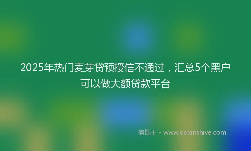 2025年热门麦芽贷预授信不通过，汇总5个黑户可以做大额贷款平台