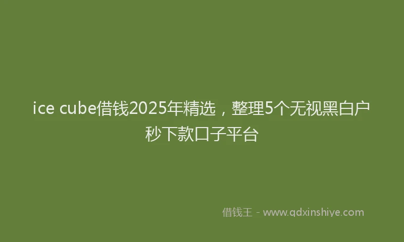 ice cube借钱2025年精选，整理5个无视黑白户秒下款口子平台