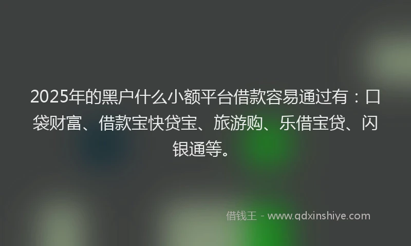2025年的黑户什么小额平台借款容易通过有：口袋财富、借款宝快贷宝、旅游购、乐借宝贷、闪银通等。