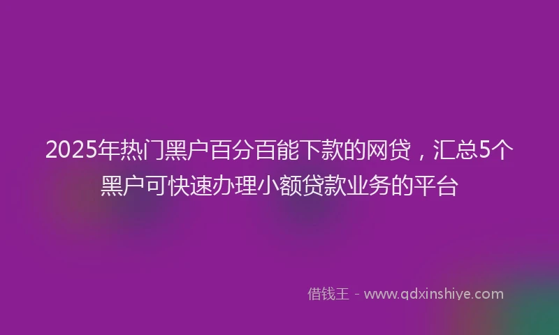2025年热门黑户百分百能下款的网贷，汇总5个黑户可快速办理小额贷款业务的平台