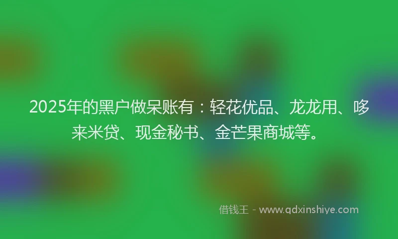 2025年的黑户做呆账有：轻花优品、龙龙用、哆来米贷、现金秘书、金芒果商城等。