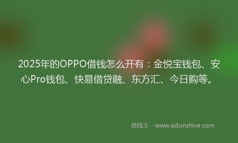 2025年的OPPO借钱怎么开有：金悦宝钱包、安心Pro钱包、快易借贷融、东方汇、今日购等。