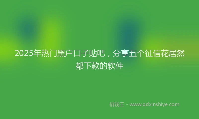 2025年热门黑户口子贴吧,分享五个征信花居然都下款的软件