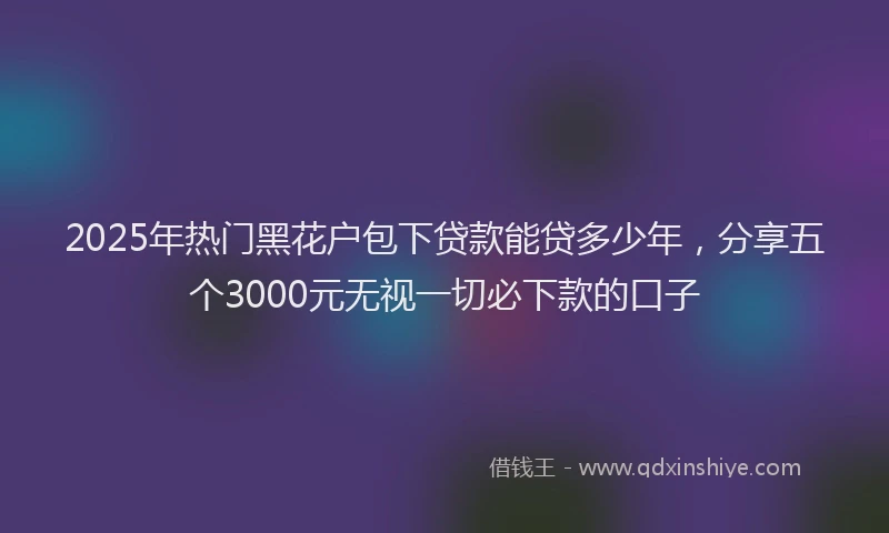 2025年热门黑花户包下贷款能贷多少年,分享五个3000元无视一切必下款的口子