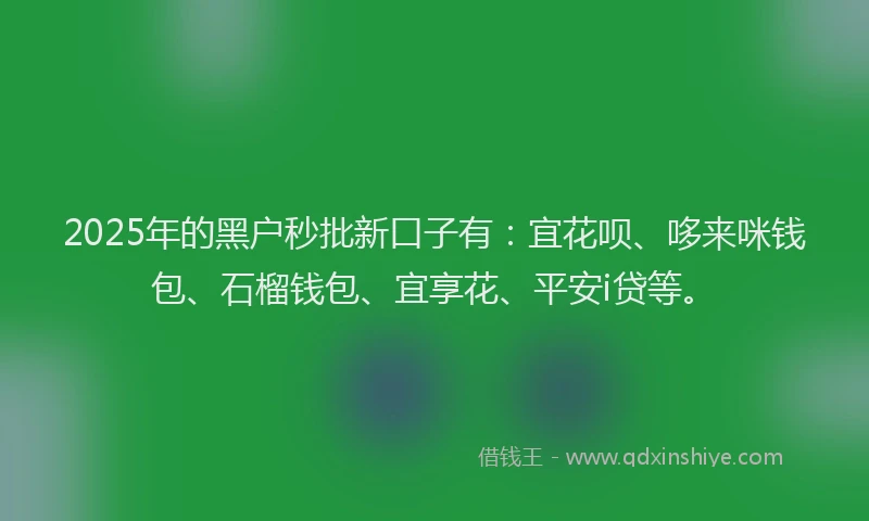 2025年的黑户秒批新口子有：宜花呗、哆来咪钱包、石榴钱包、宜享花、平安i贷等。