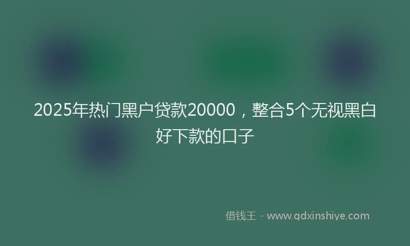 2025年热门黑户贷款20000，整合5个无视黑白好下款的口子