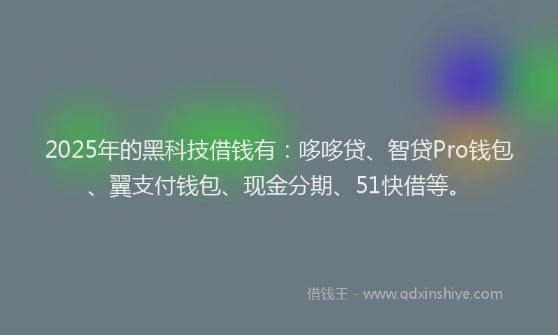 2025年的黑科技借钱有:哆哆贷、智贷Pro钱包、翼支付钱包、现金分期、51快借等。
