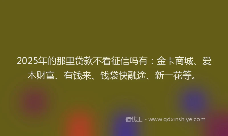 2025年的那里贷款不看征信吗有：金卡商城、爱木财富、有钱来、钱袋快融途、新一花等。