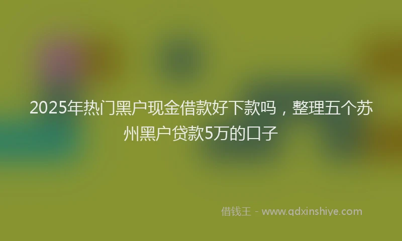 2025年热门黑户现金借款好下款吗,整理五个苏州黑户贷款5万的口子