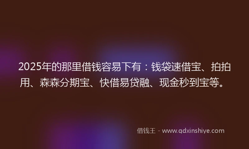 2025年的那里借钱容易下有：钱袋速借宝、拍拍用、森森分期宝、快借易贷融、现金秒到宝等。