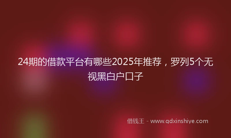 24期的借款平台有哪些2025年推荐，罗列5个无视黑白户口子