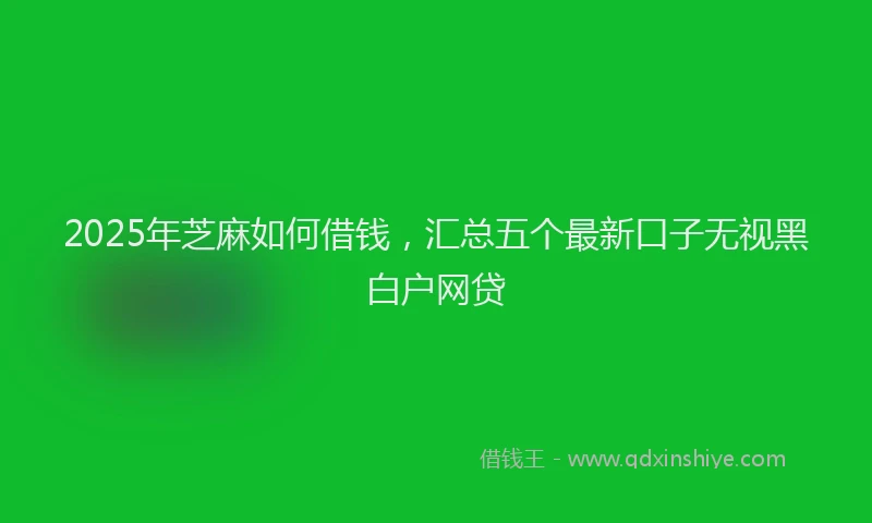 2025年芝麻如何借钱，汇总五个最新口子无视黑白户网贷