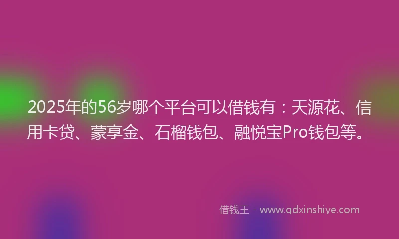 2025年的56岁哪个平台可以借钱有：天源花、信用卡贷、蒙享金、石榴钱包、融悦宝Pro钱包等。