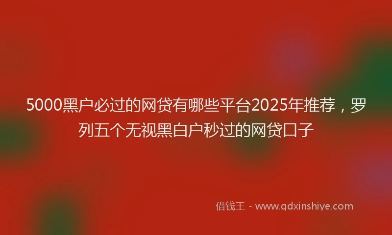 5000黑户必过的网贷有哪些平台2025年推荐，罗列五个无视黑白户秒过的网贷口子