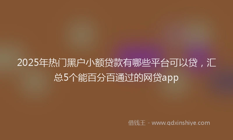 2025年热门黑户小额贷款有哪些平台可以贷，汇总5个能百分百通过的网贷app