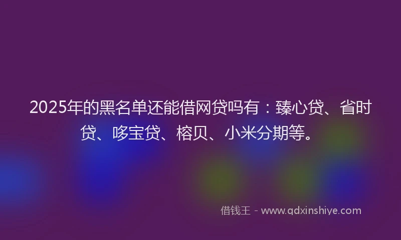 2025年的黑名单还能借网贷吗有：臻心贷、省时贷、哆宝贷、榕贝、小米分期等。