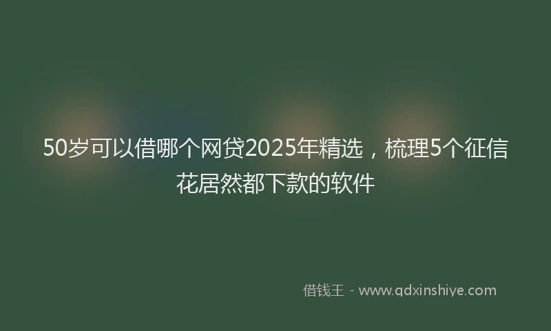 50岁可以借哪个网贷2025年精选，梳理5个征信花居然都下款的软件