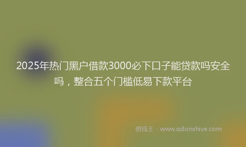 2025年热门黑户借款3000必下口子能贷款吗安全吗，整合五个门槛低易下款平台