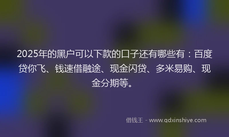 2025年的黑户可以下款的口子还有哪些有：百度贷你飞、钱速借融途、现金闪贷、多米易购、现金分期等。