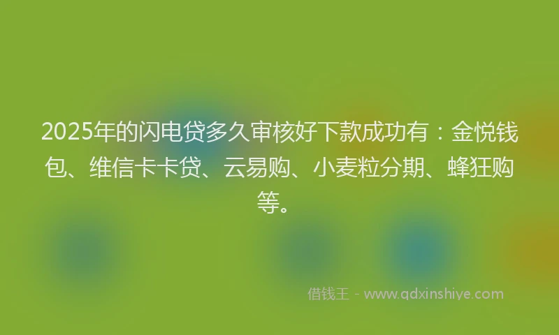 2025年的闪电贷多久审核好下款成功有：金悦钱包、维信卡卡贷、云易购、小麦粒分期、蜂狂购等。