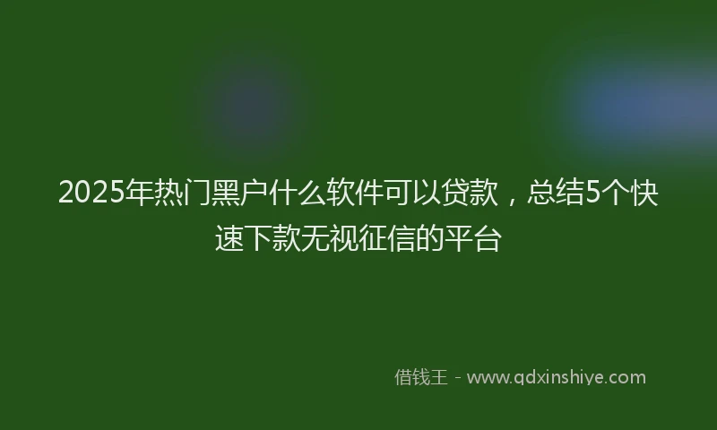 2025年热门黑户什么软件可以贷款，总结5个快速下款无视征信的平台