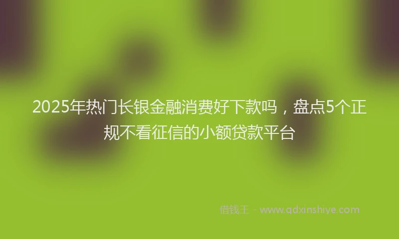 2025年热门长银金融消费好下款吗,盘点5个正规不看征信的小额贷款平台