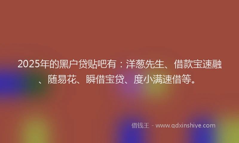 2025年的黑户贷贴吧有：洋葱先生、借款宝速融、随易花、瞬借宝贷、度小满速借等。