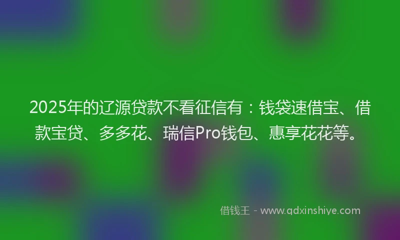 2025年的辽源贷款不看征信有：钱袋速借宝、借款宝贷、多多花、瑞信Pro钱包、惠享花花等。