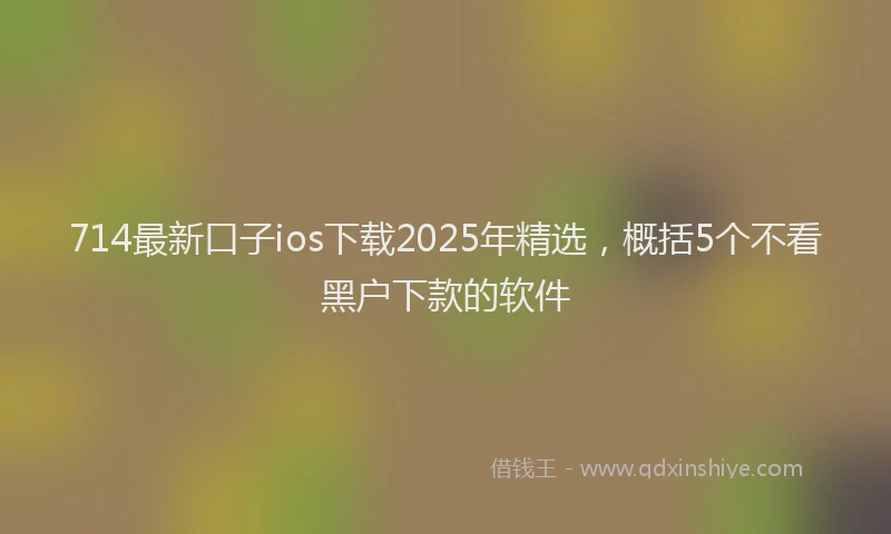 714最新口子ios下载2025年精选,概括5个不看黑户下款的软件