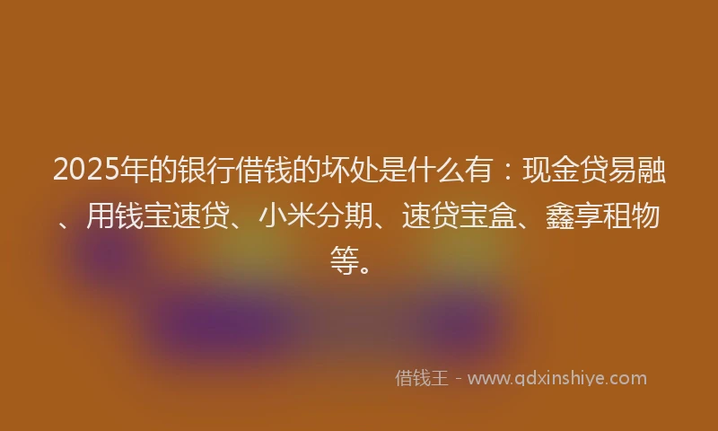 2025年的银行借钱的坏处是什么有：现金贷易融、用钱宝速贷、小米分期、速贷宝盒、鑫享租物等。