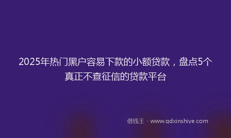 2025年热门黑户容易下款的小额贷款，盘点5个真正不查征信的贷款平台