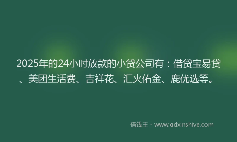 2025年的24小时放款的小贷公司有：借贷宝易贷、美团生活费、吉祥花、汇火佑金、鹿优选等。