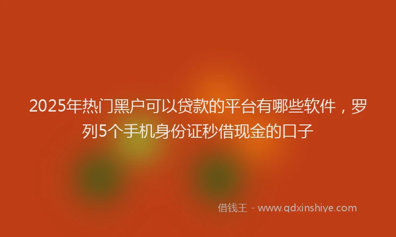 2025年热门黑户可以贷款的平台有哪些软件，罗列5个手机身份证秒借现金的口子