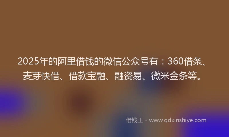 2025年的阿里借钱的微信公众号有：360借条、麦芽快借、借款宝融、融资易、微米金条等。