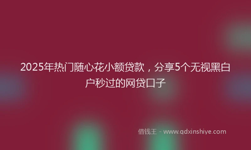2025年热门随心花小额贷款，分享5个无视黑白户秒过的网贷口子