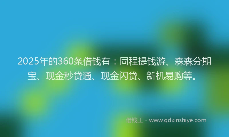 2025年的360条借钱有：同程提钱游、森森分期宝、现金秒贷通、现金闪贷、新机易购等。