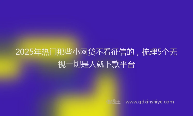 2025年热门那些小网贷不看征信的，梳理5个无视一切是人就下款平台