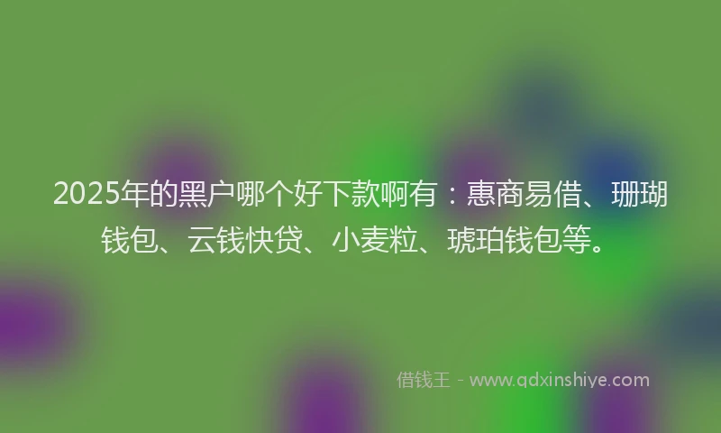 2025年的黑户哪个好下款啊有：惠商易借、珊瑚钱包、云钱快贷、小麦粒、琥珀钱包等。