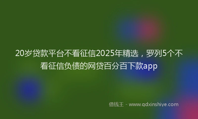 20岁贷款平台不看征信2025年精选，罗列5个不看征信负债的网贷百分百下款app