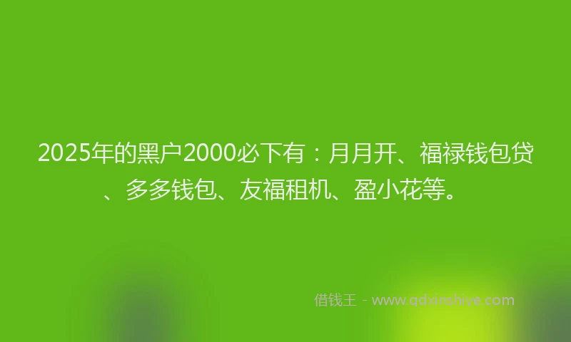 2025年的黑户2000必下有:月月开、福禄钱包贷、多多钱包、友福租机、盈小花等。