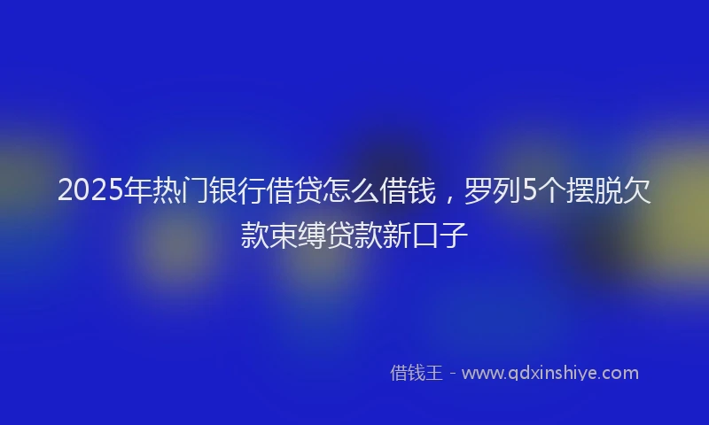 2025年热门银行借贷怎么借钱，罗列5个摆脱欠款束缚贷款新口子