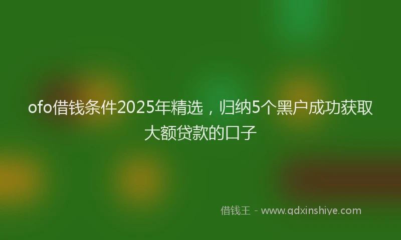 ofo借钱条件2025年精选，归纳5个黑户成功获取大额贷款的口子
