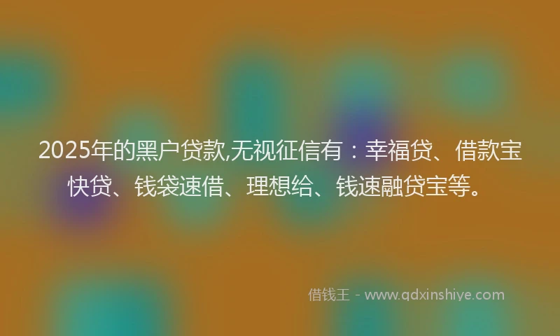 2025年的黑户贷款,无视征信有：幸福贷、借款宝快贷、钱袋速借、理想给、钱速融贷宝等。