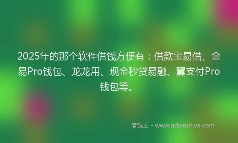 2025年的那个软件借钱方便有：借款宝易借、金易Pro钱包、龙龙用、现金秒贷易融、翼支付Pro钱包等。